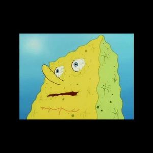 Meet your Posher, Von